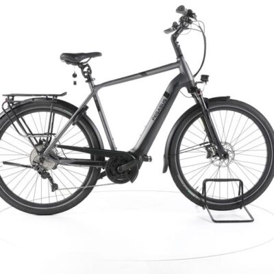 Pegasus Strong EVO 10 Trekking E-Bike