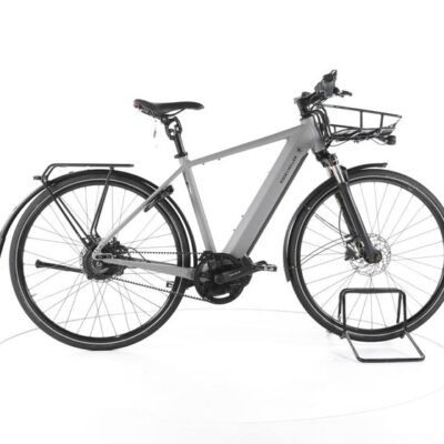 Riese & Müller Roadster Vario City E-Bike