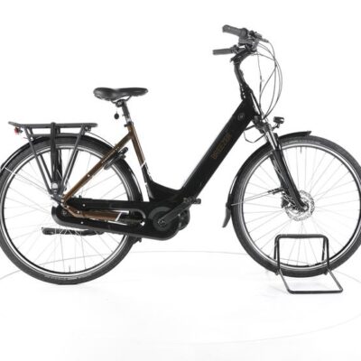 Breezer Bikes Powertrip Evo 3.1 City E-Bike Tiefeinsteiger