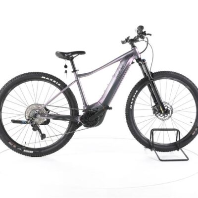 Liv Vall-E+ 2 E-Bike 2024