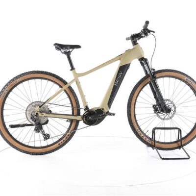BESV TRX 1.3 E-Bike