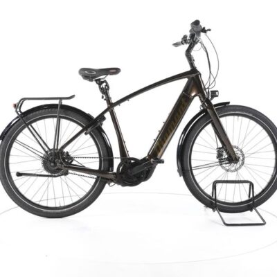 Diamant Opal Esprit+ City E-Bike
