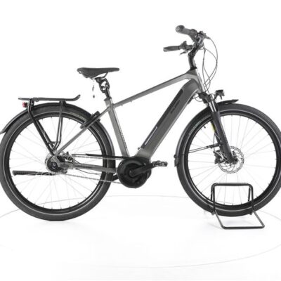 Raleigh Bristol XXL City E-Bike