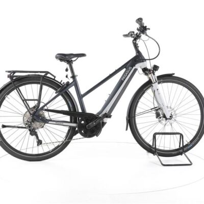 Pegasus Premio EVO 10 Lite Trekking E-Bike