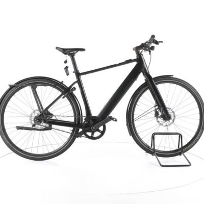 Riese & Müller UBN Five City E-Bike