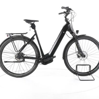 FALTER E 9.8 City E-Bike Tiefeinsteiger
