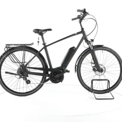 Dynamics Forte Ultra 508 Trekking E-Bike 2024