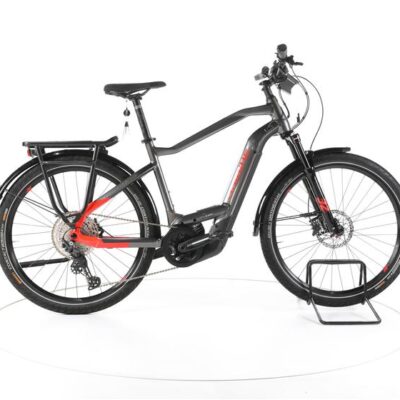 Haibike Trekking 9 Trekking E-Bike Tiefeinsteiger