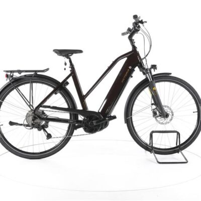 Victoria eTrekking 12.8 Trekking E-Bike