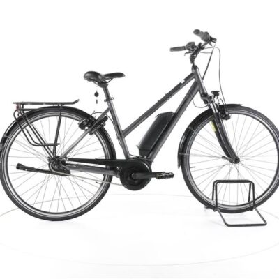 Triumph E-Cloud Plus City E-Bike