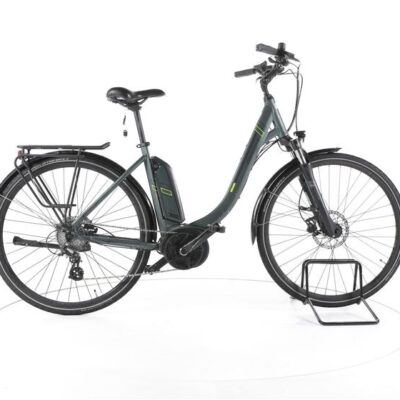 Triumph E Bird Plus Trekking E-Bike Tiefeinsteiger