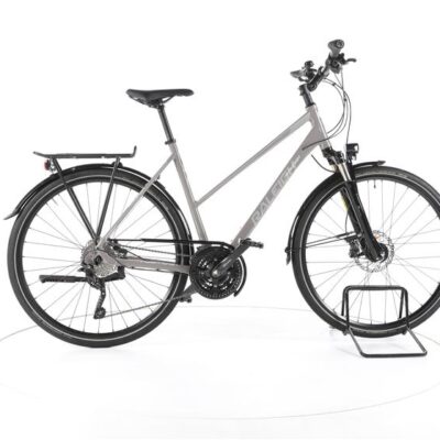 Raleigh RUSHHOUR 6.0