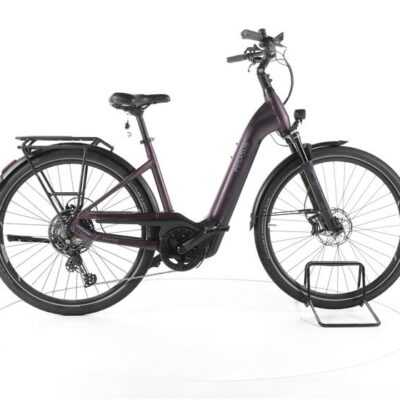 Pegasus Premio EVO Lite Trekking E-Bike Tiefeinsteiger 2023