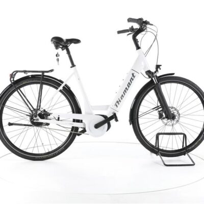 Diamant Beryll deluxe + City E-Bike Tiefeinsteiger