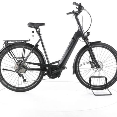 Pegasus Strong EVO 10 Trekking E-Bike Tiefeinsteiger