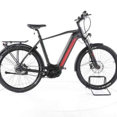 Victoria eAdventure11.9 City E-Bike