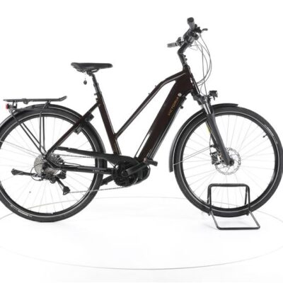 Victoria eTrekking 12.8 Trekking E-Bike