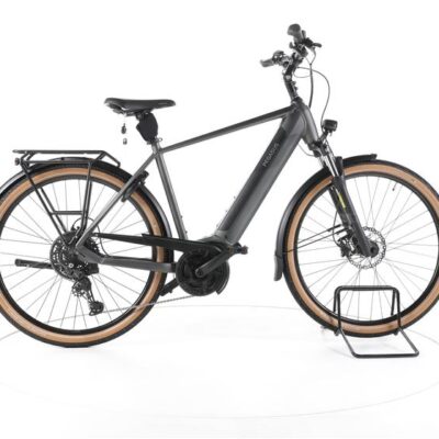 Pegasus Solero EVO Trekking E-Bike 2024