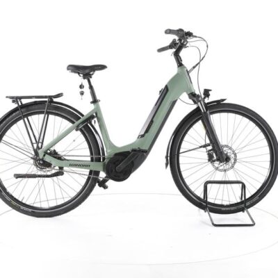 Winora Tria N8 City E-Bike Tiefeinsteiger