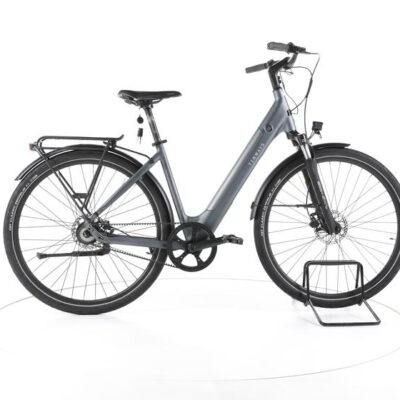 TENWAYS CGO800S City E-Bike Tiefeinsteiger