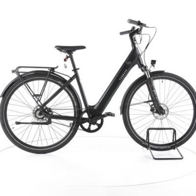 TENWAYS CGO800S City E-Bike Tiefeinsteiger
