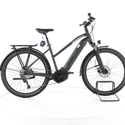 Winora Yucatan 10 Trekking E-Bike