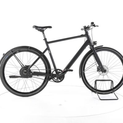 Rabeneick TX-E City E-Bike