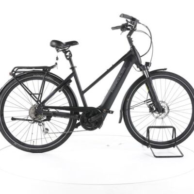 Hercules Futura Sport I-8 Trekking E-Bike