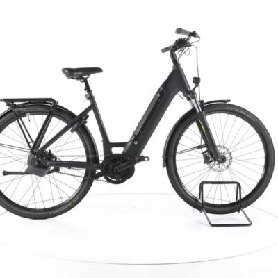 Rose E-Bike 24 Xtra Watt EVO Plus 3 LowStep City E-Bike Tiefeinsteiger