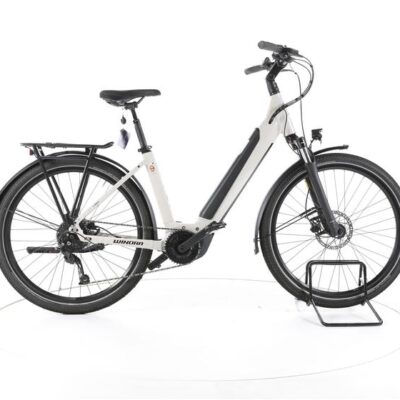 Winora Sinus 9 Trekking E-Bike Tiefeinsteiger