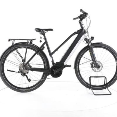 Prophete 22.ETS.15 Trekking E-Bike