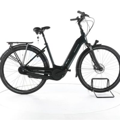 Batavus Finez E-go® Power LTD City E-Bike Tiefeinsteiger
