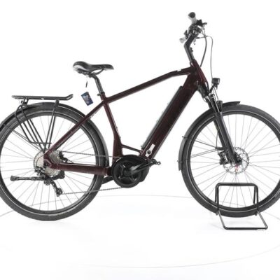 Stevens E-Triton PT6 Trekking E-Bike