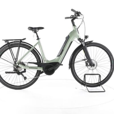 Winora Tria X9 Trekking E-Bike Tiefeinsteiger 2024
