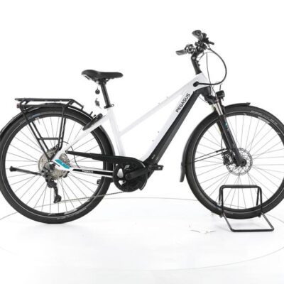Pegasus Premio Evo 10 Lite Trekking E-Bike