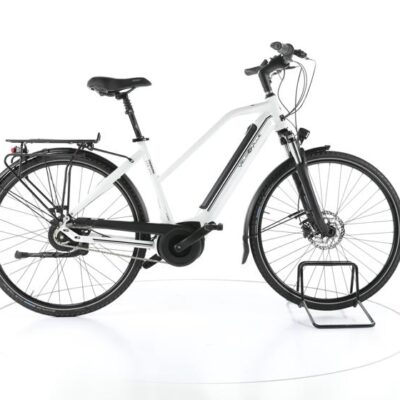 Velo de Ville AEB 890 City E-Bike