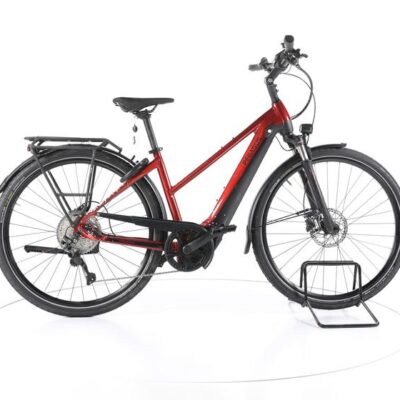Pegasus Premio Evo 10 Lite Trekking E-Bike