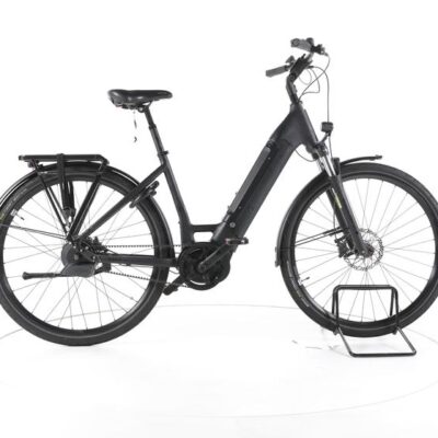 Rose Xtra Watt Evo Plus 3 City E-Bike Tiefeinsteiger 2024
