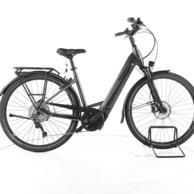 Pegasus Premio EVO 10 Lite Trekking E-Bike Tiefeinsteiger 2023