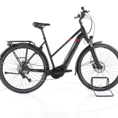 Pegasus Premio EVO 10 Trekking E-Bike