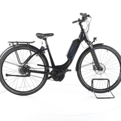 FALTER E 9.3 SE RT City E-Bike Tiefeinsteiger