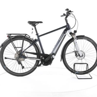 Pegasus Premio EVO 10 Lite Trekking E-Bike