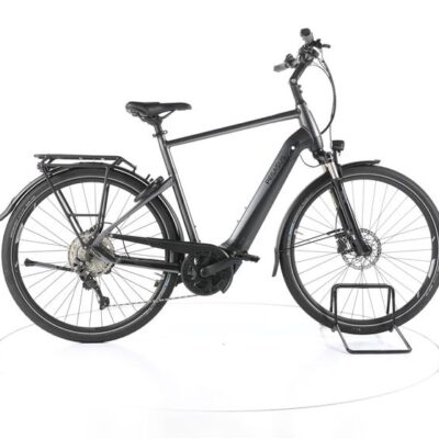Pegasus Premio Evo 10 Lite Trekking E-Bike