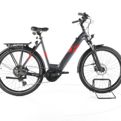 R Raymon TourRay E 6.0 Trekking E-Bike Tiefeinsteiger
