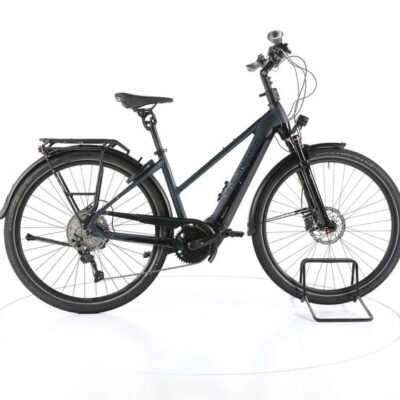 Pegasus Premio Evo Comfort Trekking E-Bike