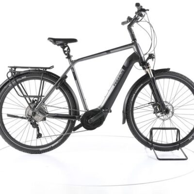 Pegasus Strong EVO 10 Trekking E-Bike