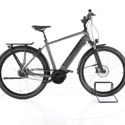 Raleigh Bristol XXL City E-Bike