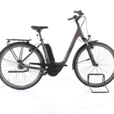 R Raymon CityRay E 2.0 City E-Bike Tiefeinsteiger