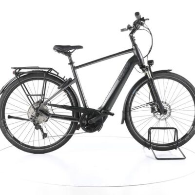 Pegasus Premio Evo 10 Lite Trekking E-Bike