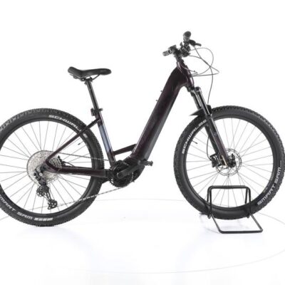 Bulls Aminga EVA 2 E-Bike